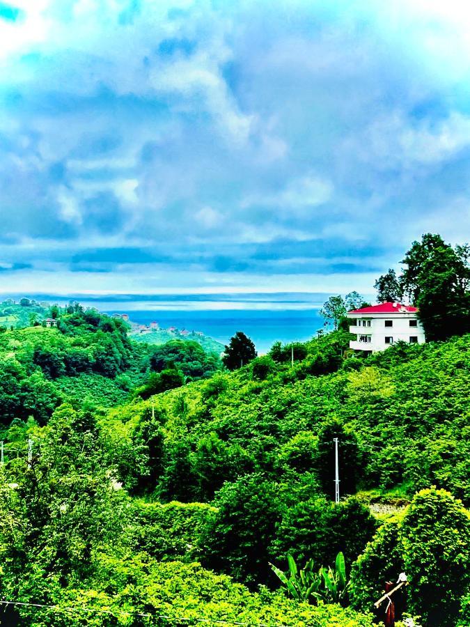 Five Stars Apart Aparthotel Trabzon Luaran gambar
