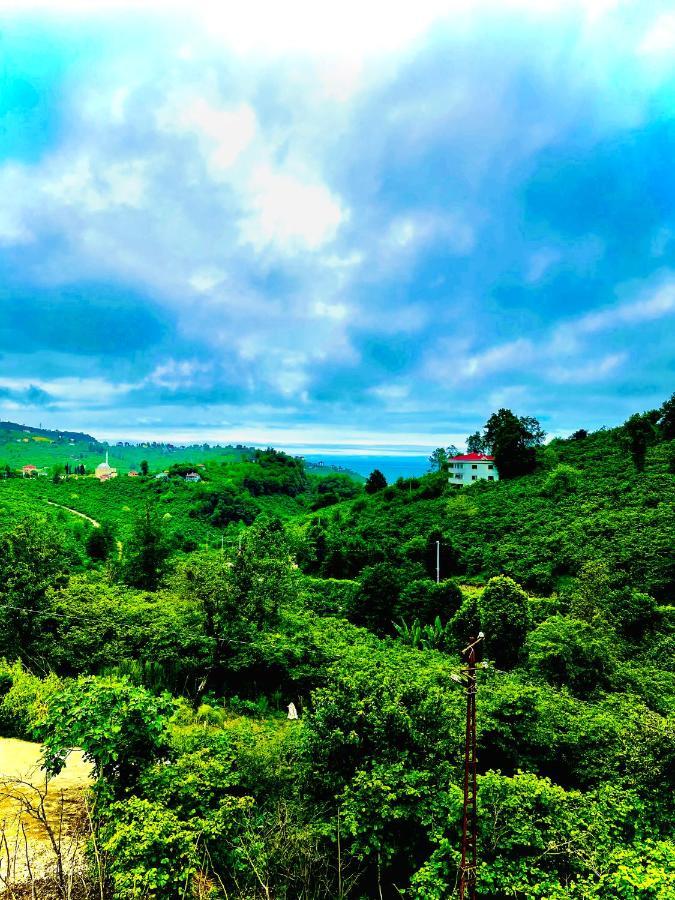 Five Stars Apart Aparthotel Trabzon Luaran gambar