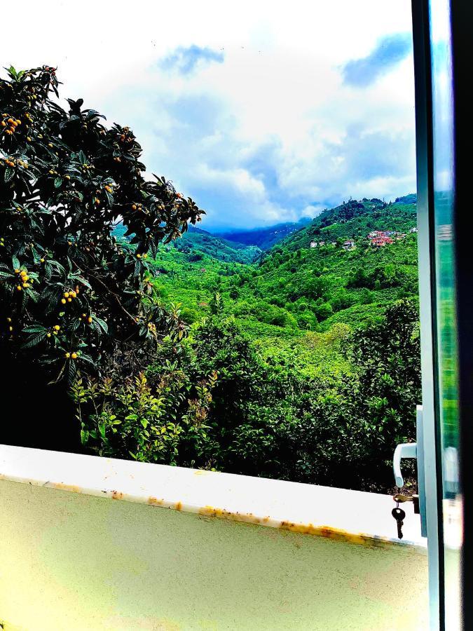 Five Stars Apart Aparthotel Trabzon Luaran gambar