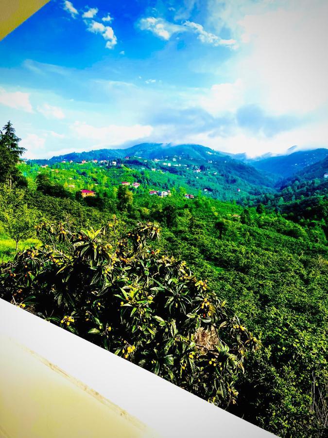 Five Stars Apart Aparthotel Trabzon Luaran gambar